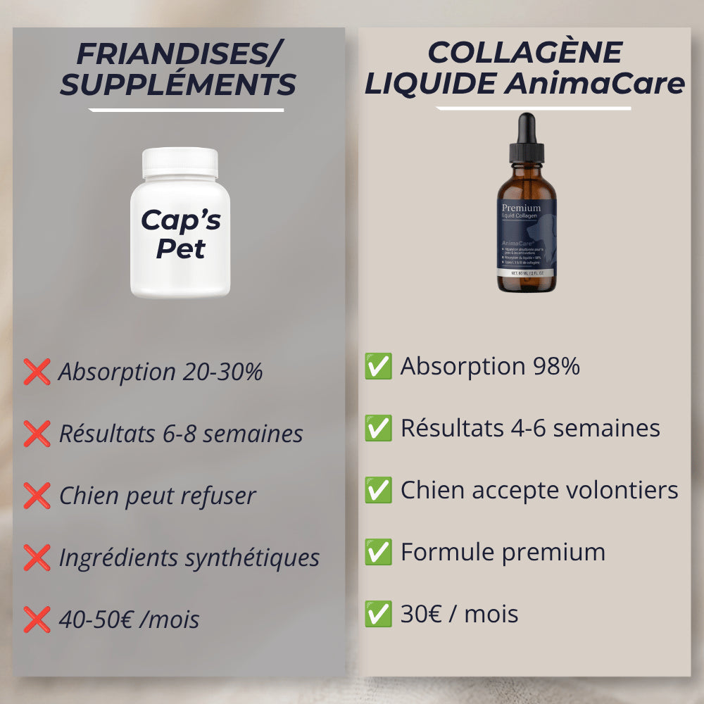 Collagène Liquide Premium 60 mL
